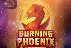 Burning Phoenix