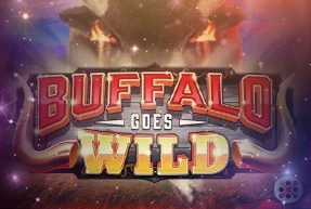 Buffalo Goes Wild